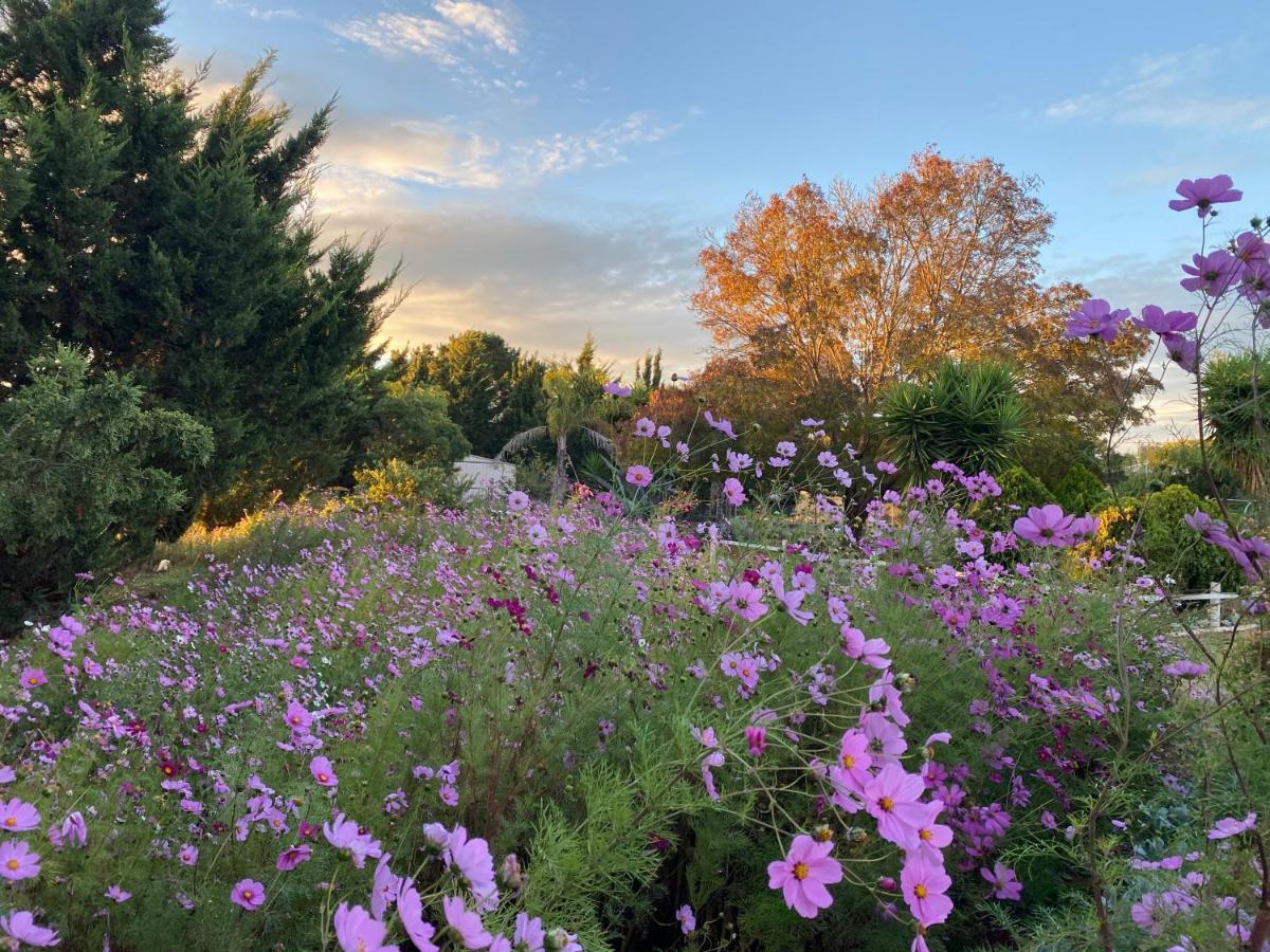 Melbourne Garden Bed And Breakfast Melton エクステリア 写真